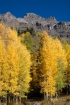 Aspen;Colorado;Fall-Foliage;Foliage;Mountains;Scenic;Yankee-Boy-basin