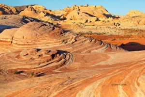 Desert;Desert-Scenic;Erosion;Fire-Wave;Nevada;Red-Rock;Red-Rocks;Sand;Sandstone;