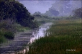 Everglades;Scenic;Fog;Water