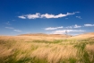 Nebraska;Sandhills;Scenic;Valentine-National-Widlife-Refuge;Wetland;Grass