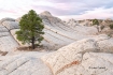 Arizona;Erosion;Grand-Staircase-Escalante;Red-Rock;Sandstone;Vermillion-Cliffs;W