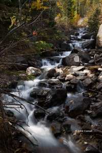 Brook;Glacier-Creek;Rocks;Rocky-Mountain-National-Park;Scenic;Warter;Water-Flow;