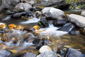 Baker-Creek;Brook;Creek;Great-Basin-National-Park;Nevada;Rocks;Water-Flow;Waterf