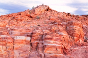 Desert;Erosion;Nevada;Red-Rock;Sandstone;Valley-of-Fire-State-Park;arid;sandston