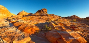 Blue-Sky;Erosion;Fins;Nevada;Pano;Panoramic;Red-Rocks;Sandstone;Sunrise;Valley-o