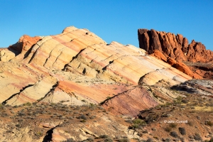 Desert;Erosion;Nevada;Red-Rock;Red-Rocks;Sand;Sandstone;Valley-of-Fire-State-Par