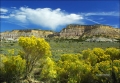 New-Mexico;Rabbit-Brush;Blue-Sky;Clouds;Scenic;Butte;Buttes
